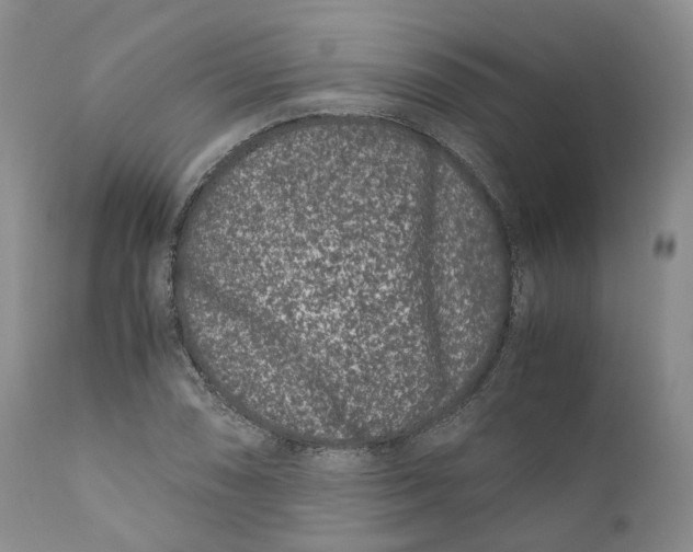 X0000110771074200907061113