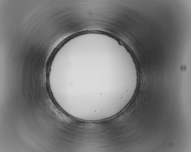 X0000110771076200907061113