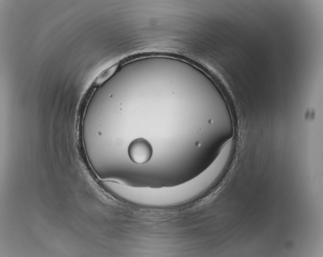 X0000110771077200907061113