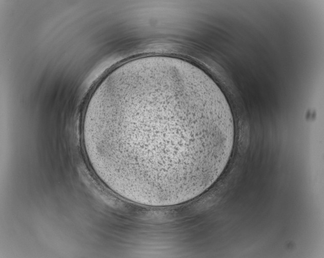 X0000110771078200907061113