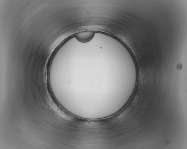 X0000110771082200907061113