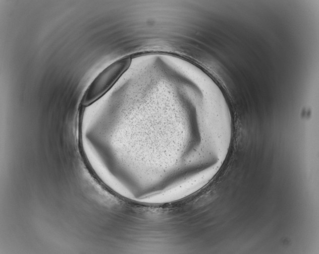 X0000110771084200907061113