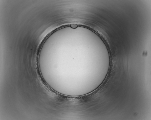 X0000110771085200907061113