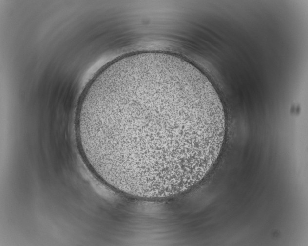 X0000110771086200907061113