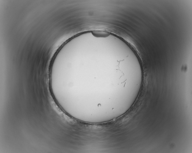 X0000110771088200907061113