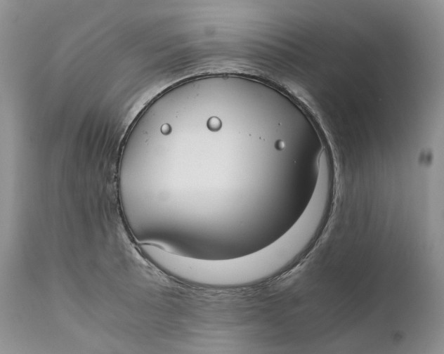 X0000110771089200907061113