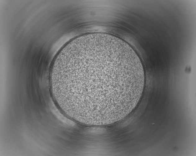 X0000110771090200907061113