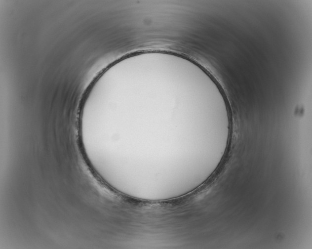 X0000110771093200907061113