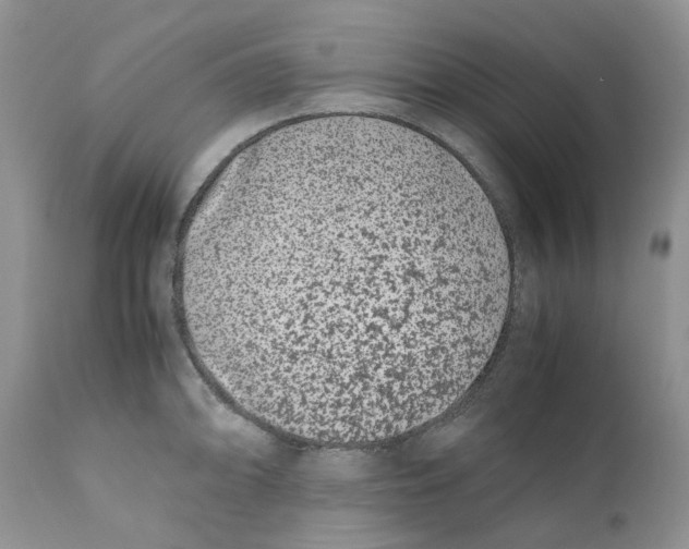 X0000110771094200907061113