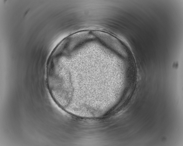 X0000110771095200907061113