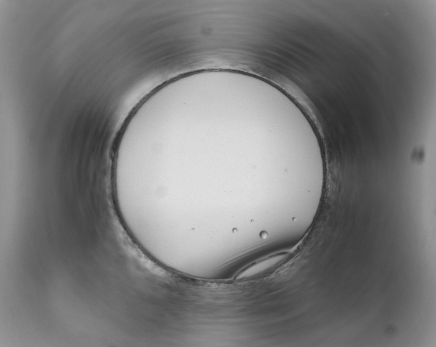 X0000110771096200907061113