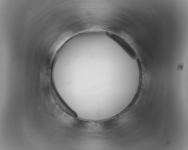 X0000110771097200907061113