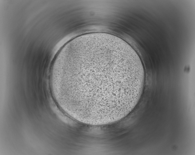 X0000110771098200907061113