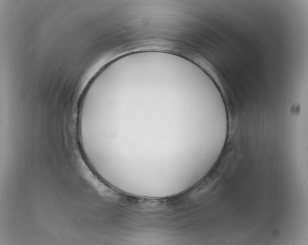 X0000110771099200907061113