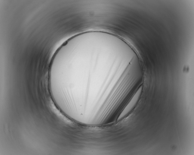 X0000110771100200907061113