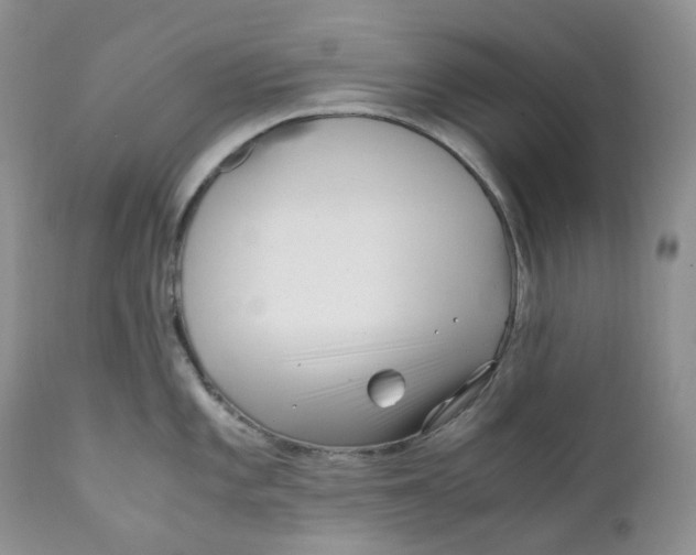 X0000110771101200907061113