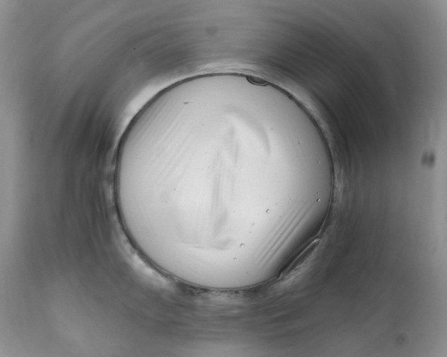 X0000110771102200907061113