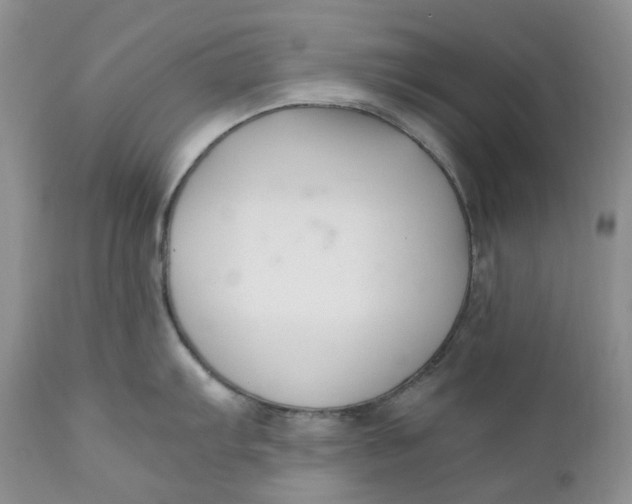 X0000110771103200907061113