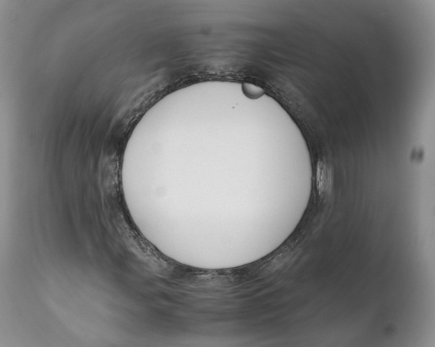 X0000110771107200907061112