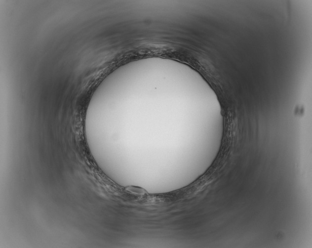 X0000110771109200907061112