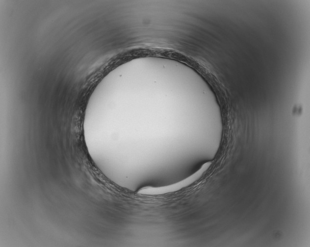 X0000110771110200907061112