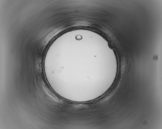 X0000110771113200907061112