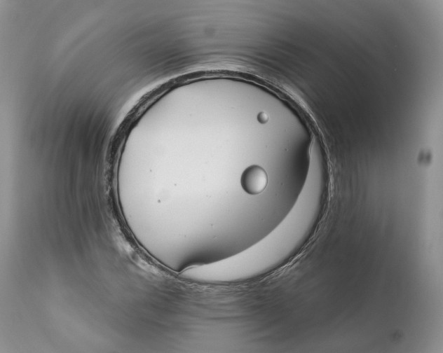 X0000110771116200907061112