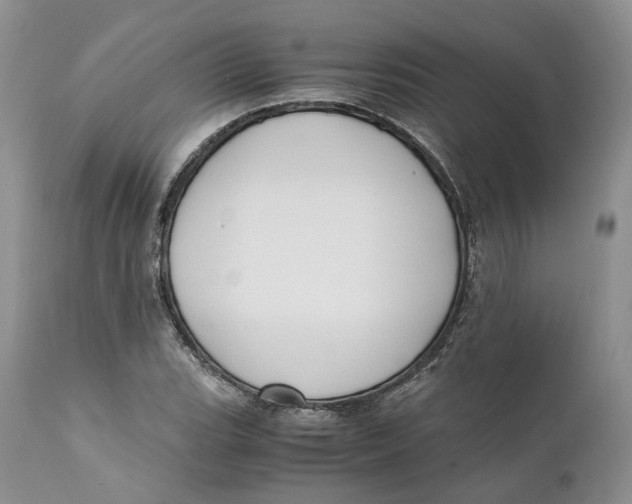 X0000110771119200907061112