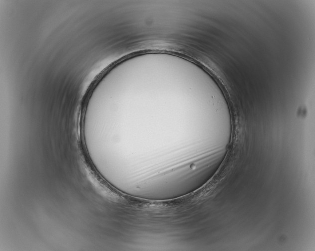 X0000110771128200907061112