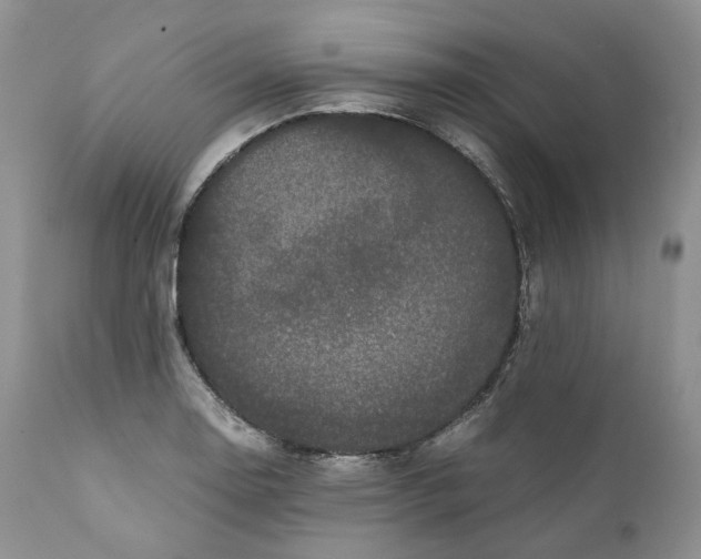 X0000110771130200907061112