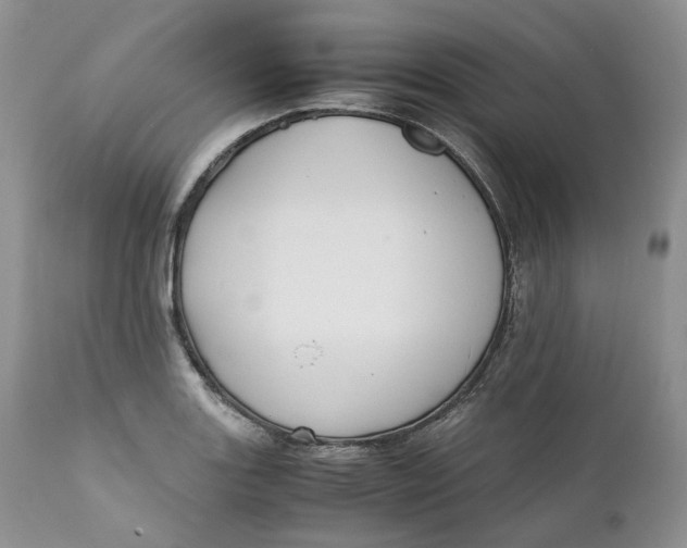 X0000110771131200907061112