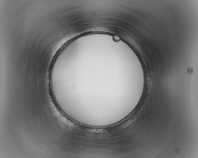 X0000110771133200907061113