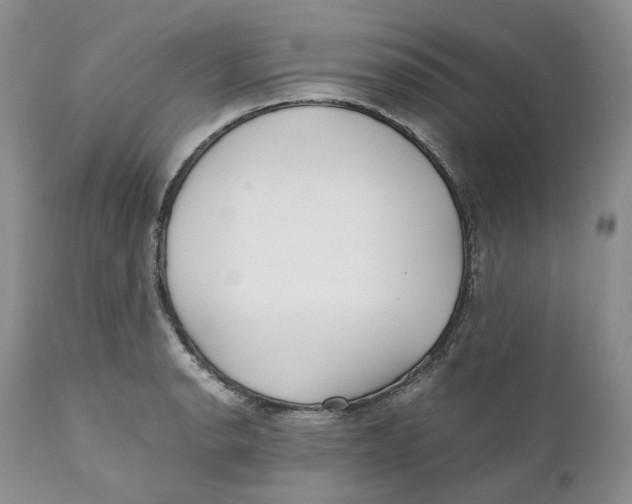 X0000110771134200907061113