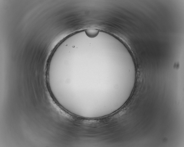 X0000110771135200907061113