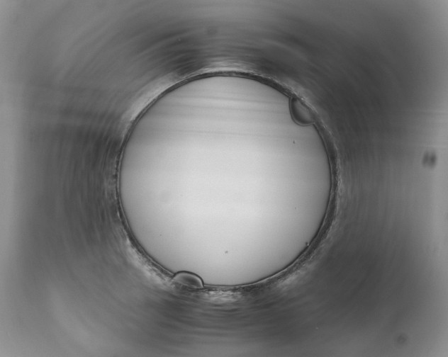 X0000110771137200907061113