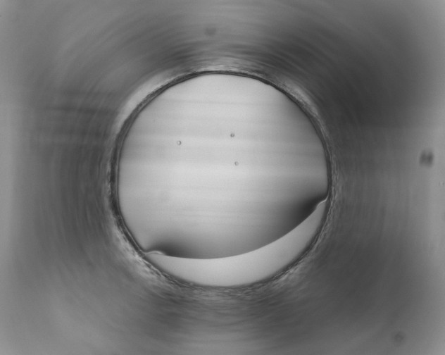 X0000110771138200907061113