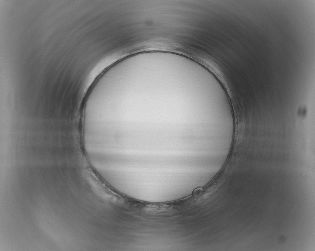 X0000110771146200907061113