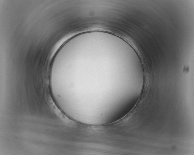 X0000110771148200907061113