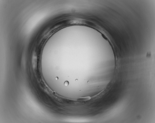 X0000110771151200907061113