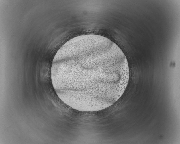 X0000110771154200907061112