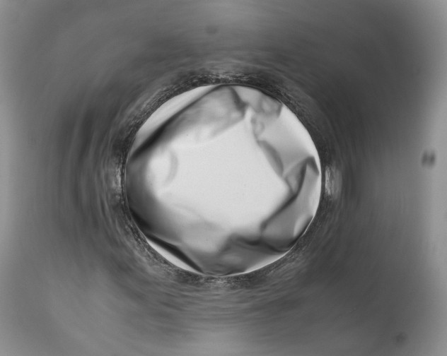 X0000110771155200907061112