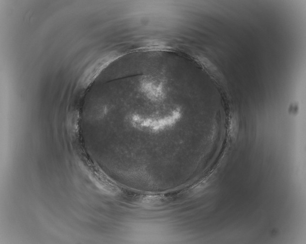 X0000110771161200907061112