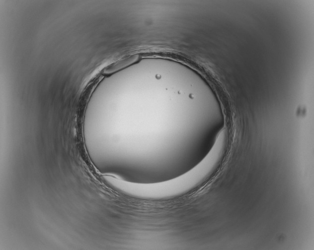 X0000110771165200907061112