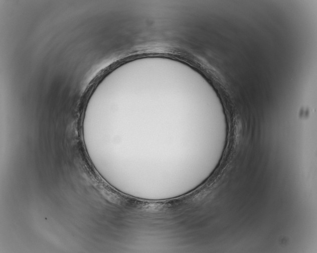 X0000110771166200907061112