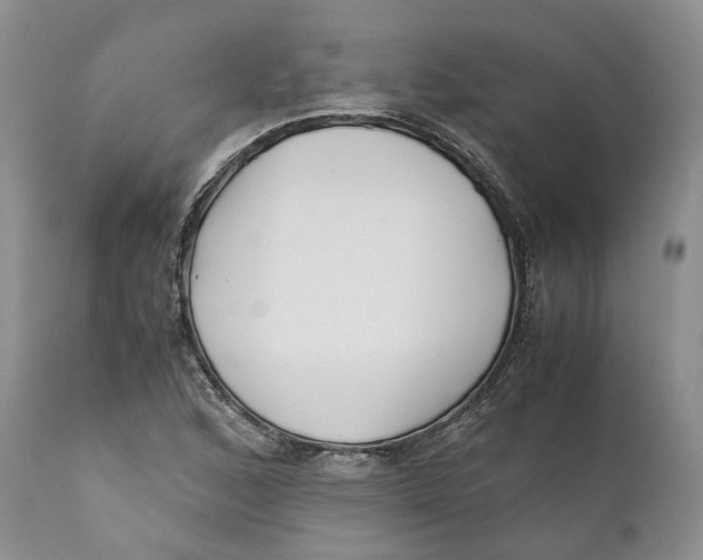 X0000110771168200907061112