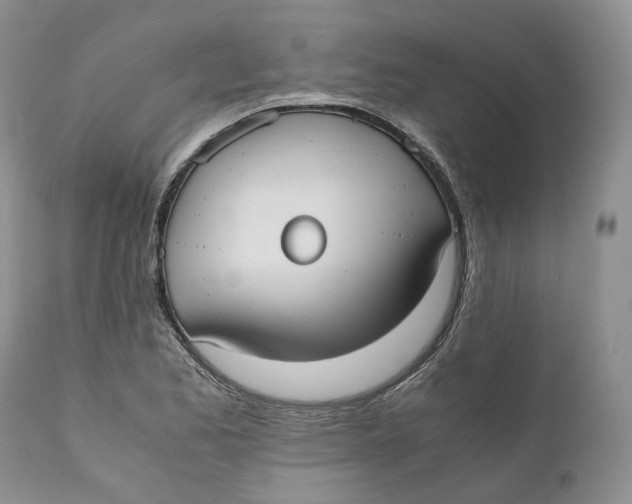 X0000110771173200907061112