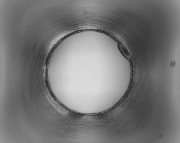 X0000110771179200907061112