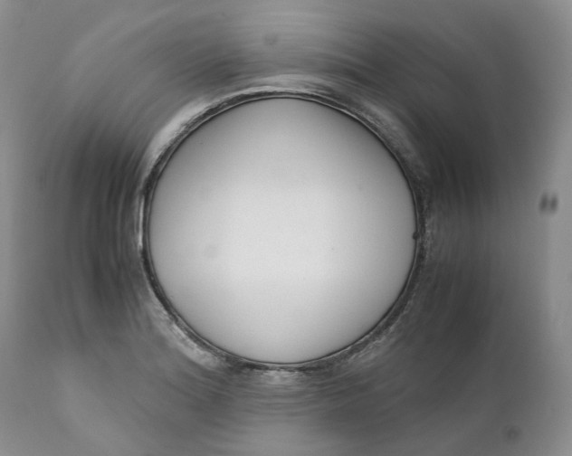 X0000110771180200907061112