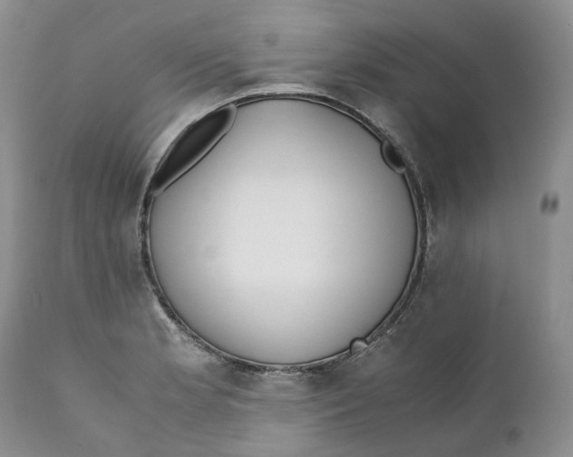 X0000110771181200907061112