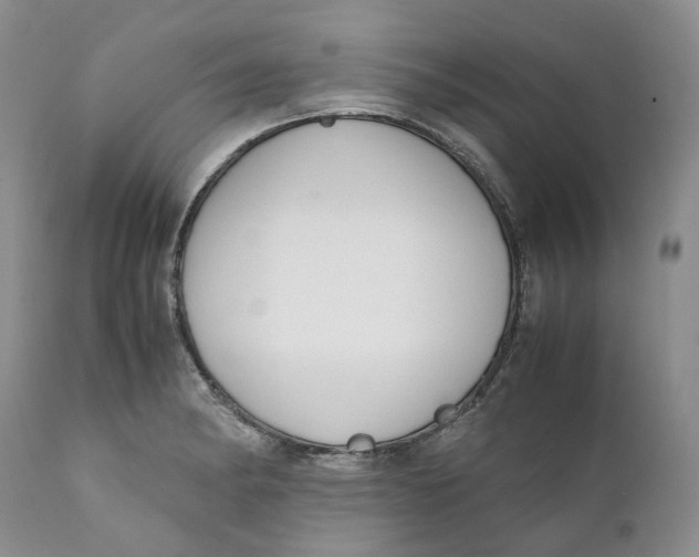 X0000110771182200907061112